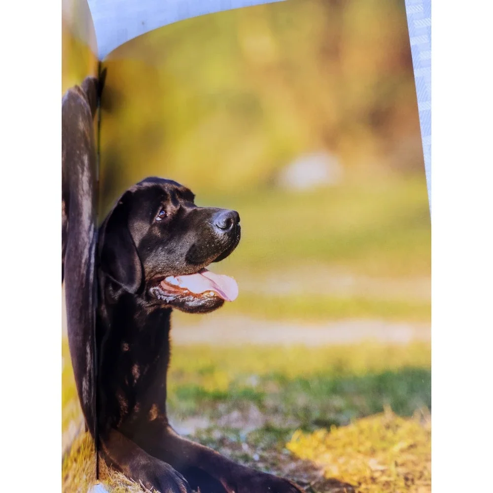 Pawverbs for a Dog Lover's Heart by Jennifer Marshall Bleakley 2020 Hard...